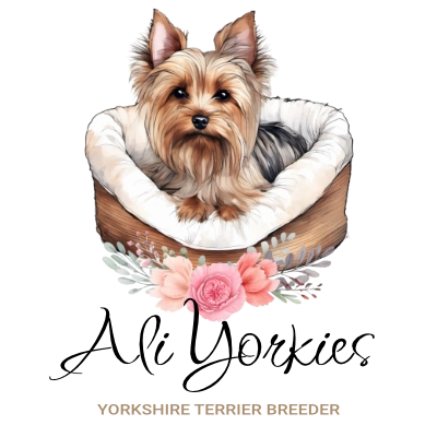 Yorkie in dog bed logo